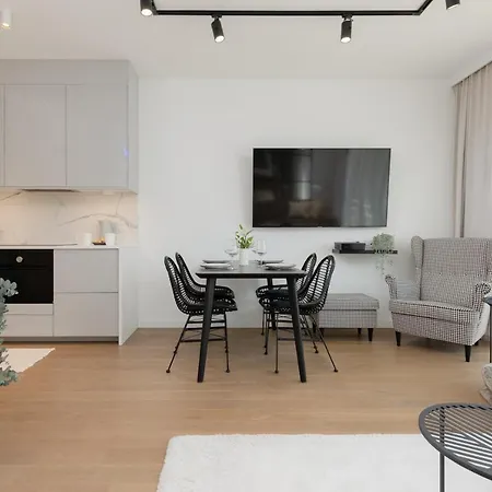 Boutiq Park Elegant With Parking By Renters Apartment *
